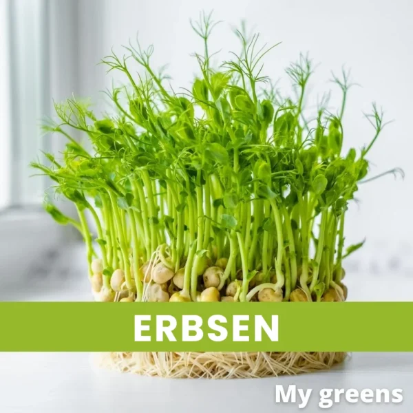 Erbsen Mikrogreens Samen 100g