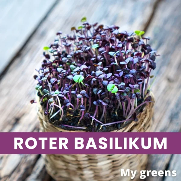 Roter Basilikum Mikrogreens Samen 5g