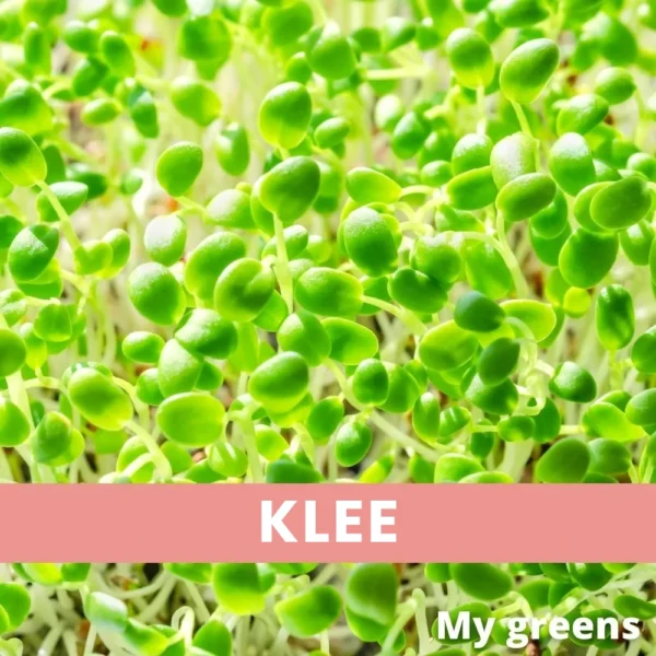 Klee Mikrogreens Samen 30g